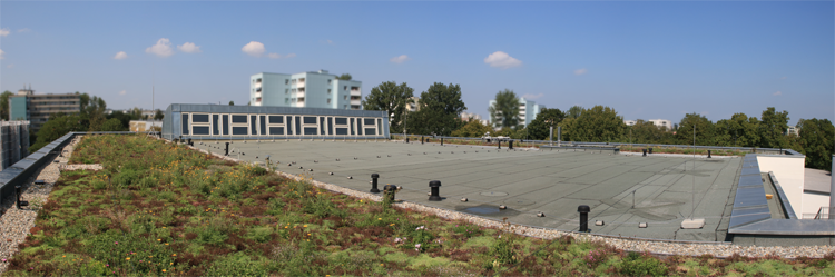 Balthasar Neumann Realschule  - Dachsanierung 2 Jahre nach Fertigstellung